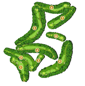 コース画像