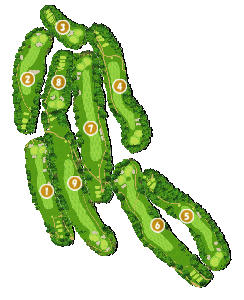コース画像