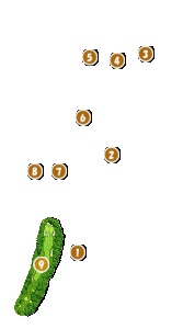 コース画像