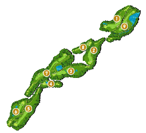 コース画像