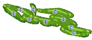 コース画像