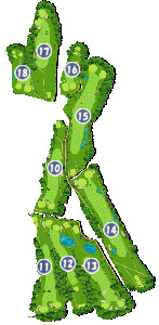 コース画像