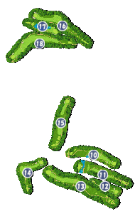 コース画像
