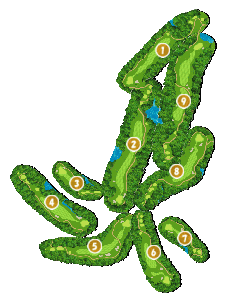 コース画像