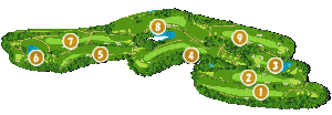 コース画像