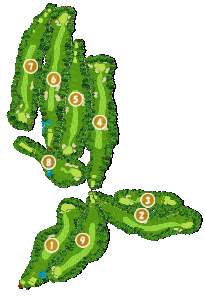 コース画像
