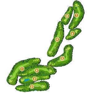 コース画像