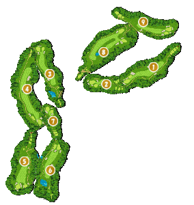 コース画像