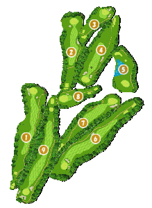 コース画像