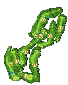 コース画像