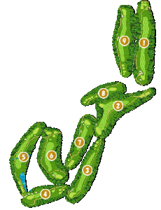 コース画像