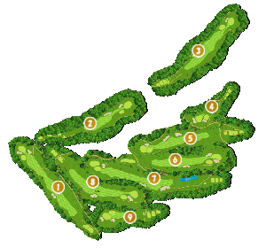 コース画像