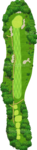 No.6