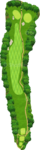 No.7