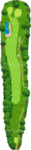 No.6