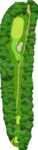 No.8