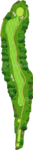 No.11