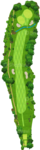 No.11