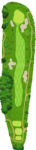 No.8
