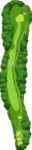 No.7