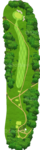 No.