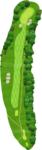 No.