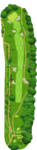 No.