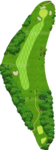 No.8