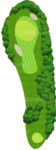 No.7