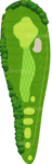 No.