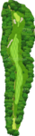 No.5