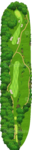 No.