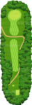 No.