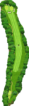 No.