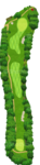 No.7