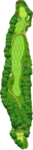 No.5