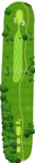 No.