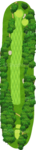 No.