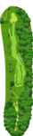 No.
