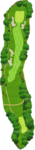 No.11