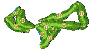 コース全体俯瞰図