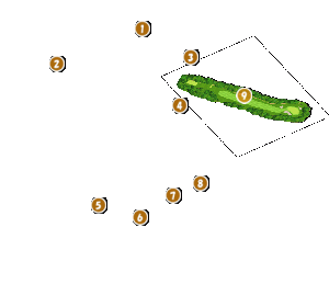 コース全体俯瞰図