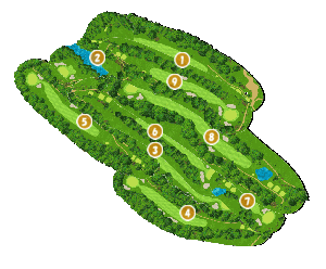 コース全体俯瞰図