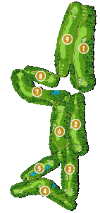 コース全体俯瞰図