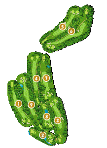 コース全体俯瞰図