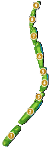 コース全体俯瞰図