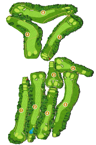 コース全体俯瞰図