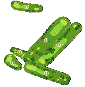 コース全体俯瞰図