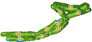 コース全体俯瞰図