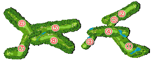 コース全体俯瞰図